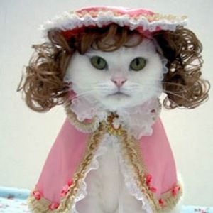 Meet your Posher, Erika